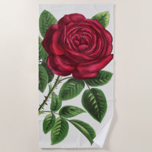 Antique Rose Lithograph, François-Frédéric Grobon Beach Towel