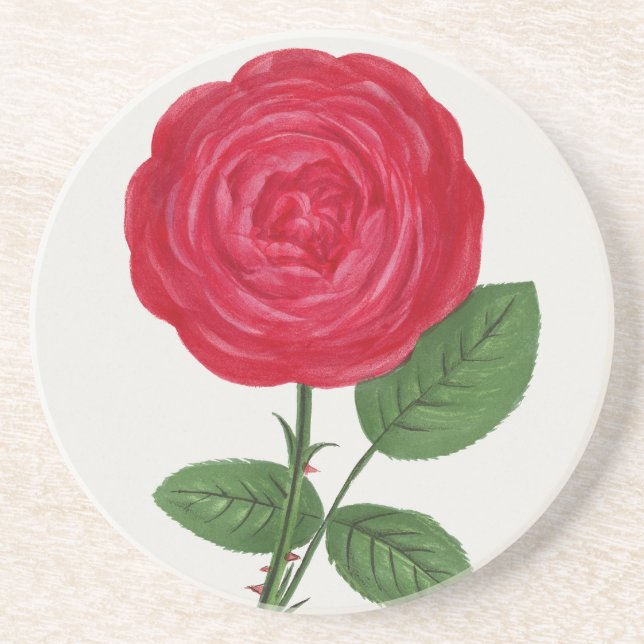 Antique Rose Lithograph, François-Frédéric Grobon Coaster (Front)