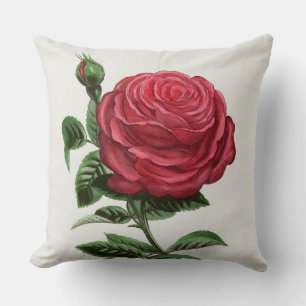 Antique Rose Lithograph, François-Frédéric Grobon Cushion