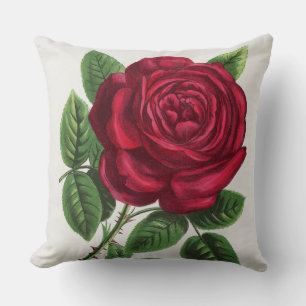 Antique Rose Lithograph, François-Frédéric Grobon Cushion