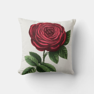 Antique Rose Lithograph, François-Frédéric Grobon Cushion