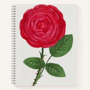Antique Rose Lithograph, François-Frédéric Grobon Notebook