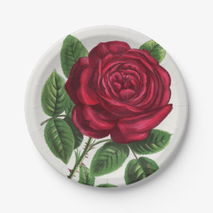 Antique Rose Lithograph, François-Frédéric Grobon Paper Plate