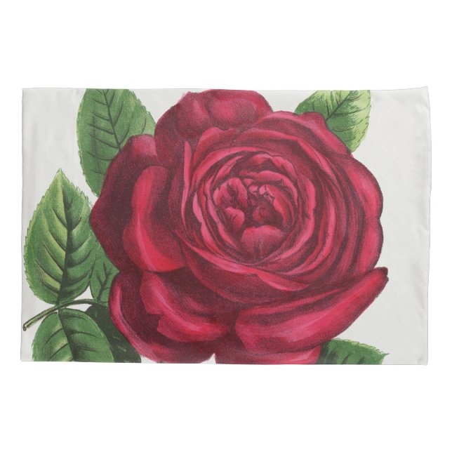 Antique Rose Lithograph, François-Frédéric Grobon Pillowcase (Back)