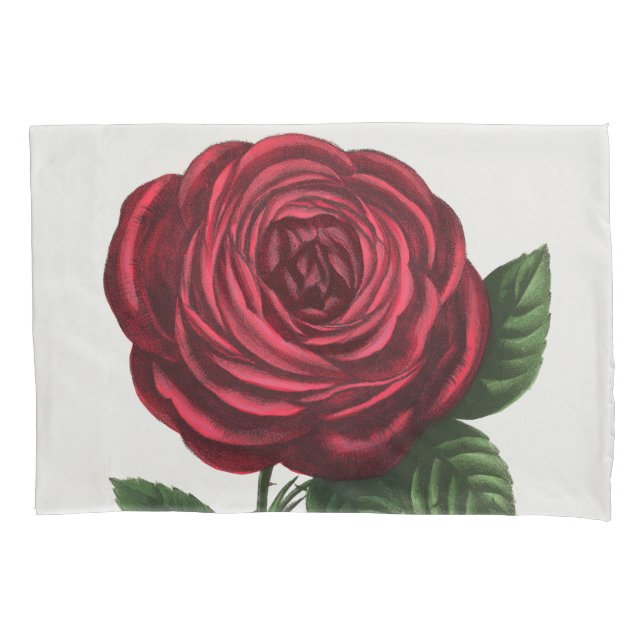 Antique Rose Lithograph, François-Frédéric Grobon Pillowcase (Front)