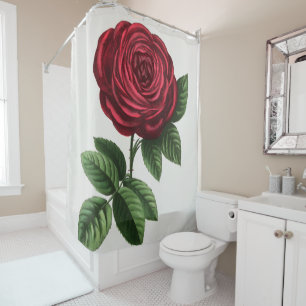 Antique Rose Lithograph, François-Frédéric Grobon Shower Curtain