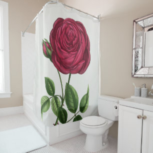 Antique Rose Lithograph, François-Frédéric Grobon Shower Curtain