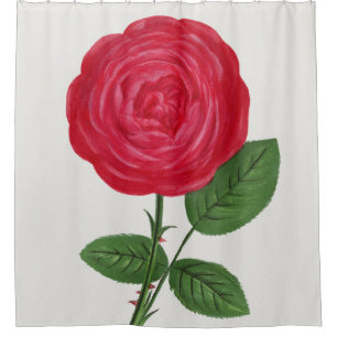 Antique Rose Lithograph, François-Frédéric Grobon Shower Curtain