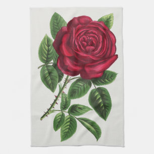 Antique Rose Lithograph, François-Frédéric Grobon Tea Towel