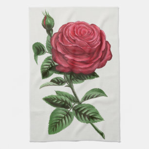 Antique Rose Lithograph, François-Frédéric Grobon Tea Towel