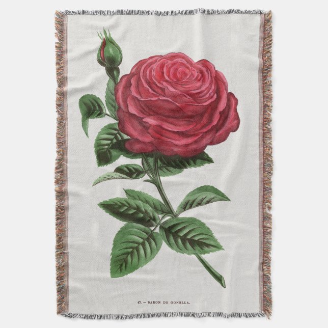 Antique Rose Lithograph, François-Frédéric Grobon Throw Blanket (Front Vertical)