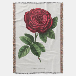 Antique Rose Lithograph, François-Frédéric Grobon Throw Blanket