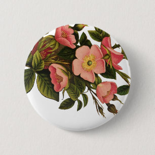 Antique Rose Vintage Flower Illustration Art 6 Cm Round Badge