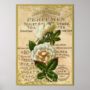Antique Roses Perfume Poster