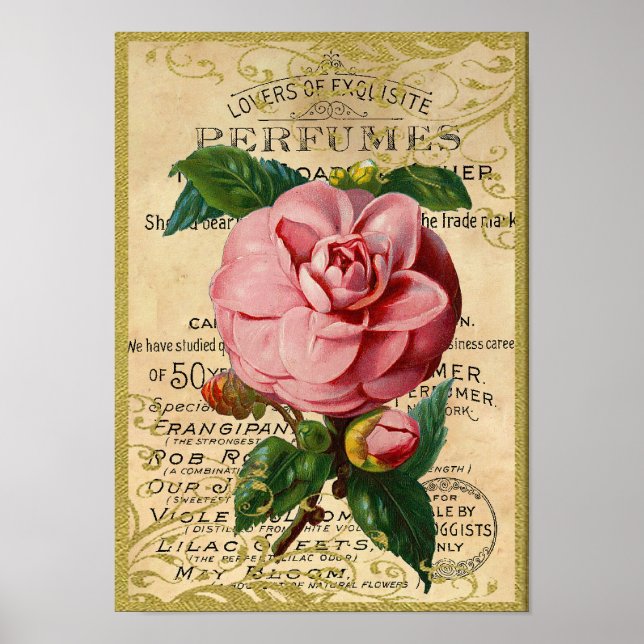 Antique Roses Perfume Poster (Front)