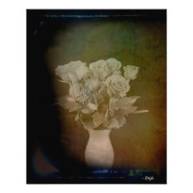 Antique Roses