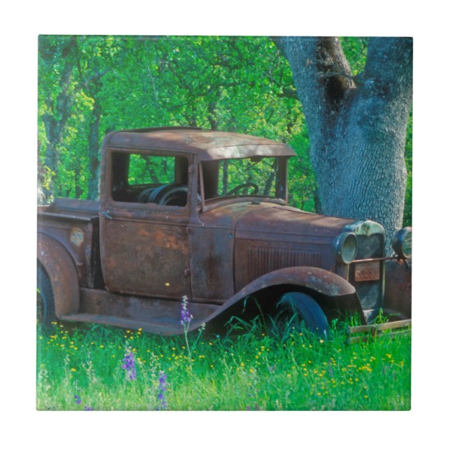 Antique rusted truck in a meadow ceramic tile (Front)