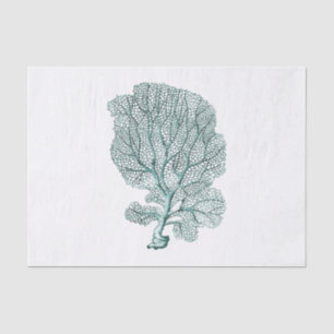 Antique Sea Coral Illustration Tissue Paper