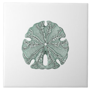 Antique Sea Sand Dollar Illustration Tile