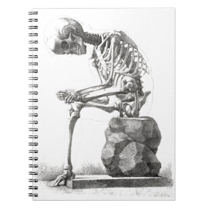 Antique Skeleton Anatomy: Gothic Halloween Medical Notebook