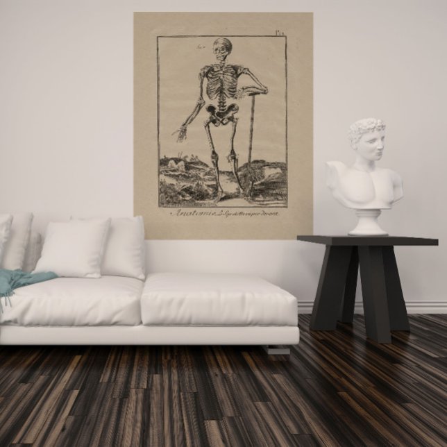 Antique Skeleton Human Anatomy Poster (Creator Uploaded)