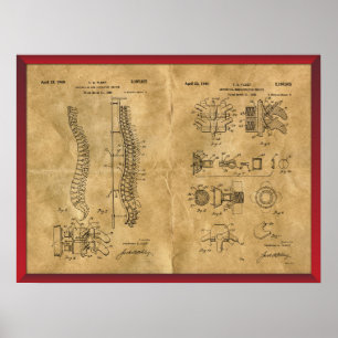Antique Spine Drawing Poster