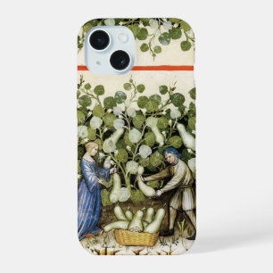 ANTIQUE SQUASH  HARVEST Squashes Mediaeval Art iPhone 15 Case