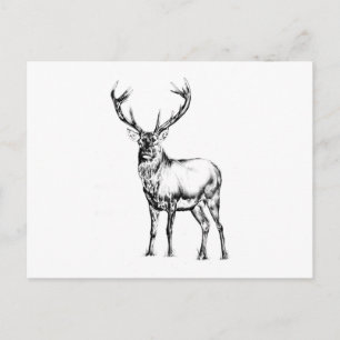 Antique stag art drawing handmade nature postcard