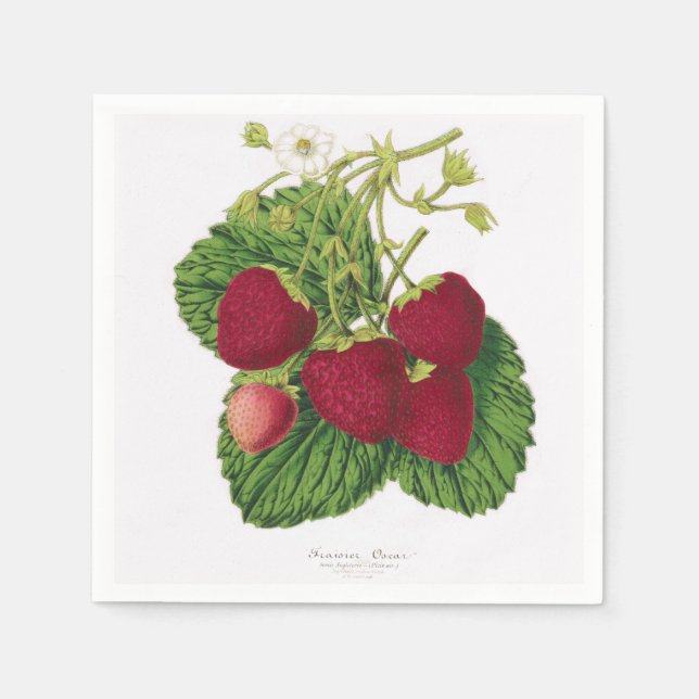 Antique Strawberry Print Napkin (Front)