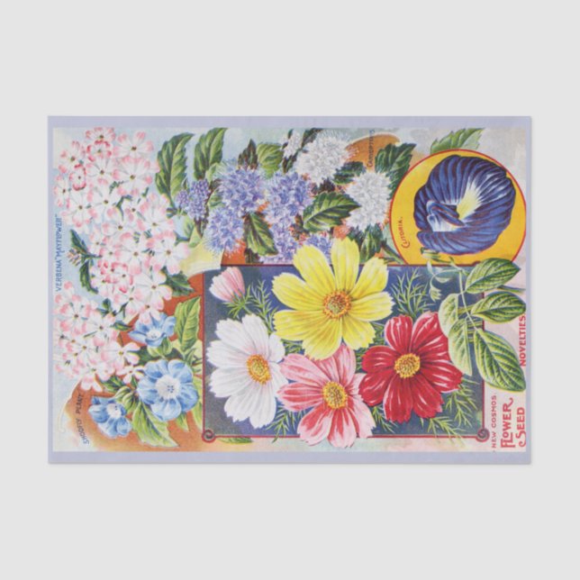 Antique Summer Flowers Seed Catalogue Tissue Paper (Front)