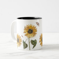 Antique Sunflower Caterpillar Butterfly Drawing
