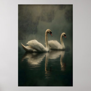 Antique Swan Couple Wall Art, Swans Illustration Poster