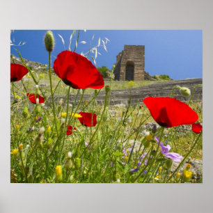 Antique theater in Acropolis of Pergamon Poster