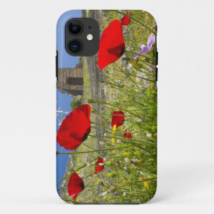 Antique theatre in Acropolis of Pergamon iPhone 11 Case