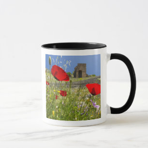 Antique theatre in Acropolis of Pergamon Mug