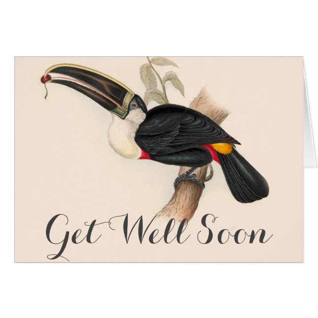 Antique Toucan Bird Wildlife Painting (Front Horizontal)