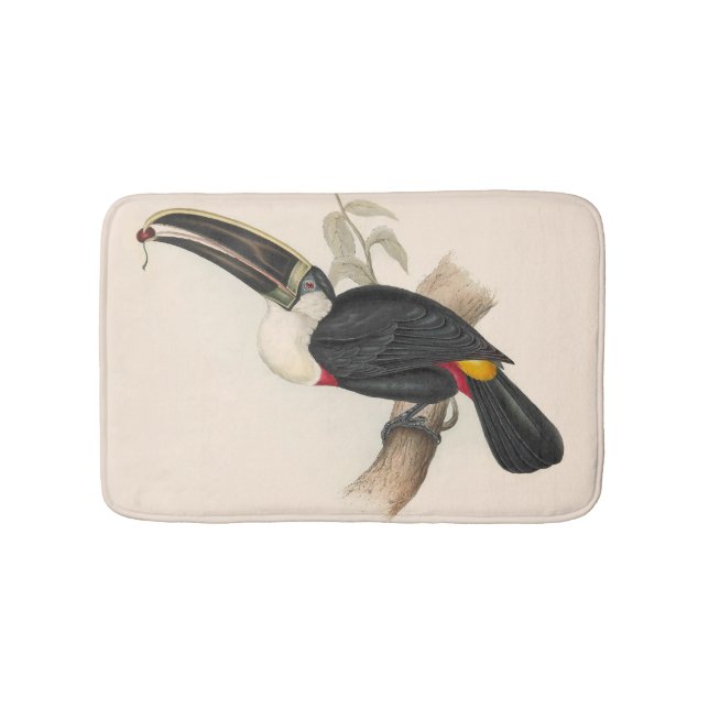 Antique Toucan Bird Wildlife Painting Bath Mat (Front)
