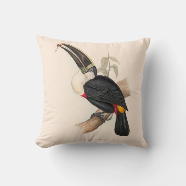 Antique Toucan Bird Wildlife Painting Cushion (Front)
