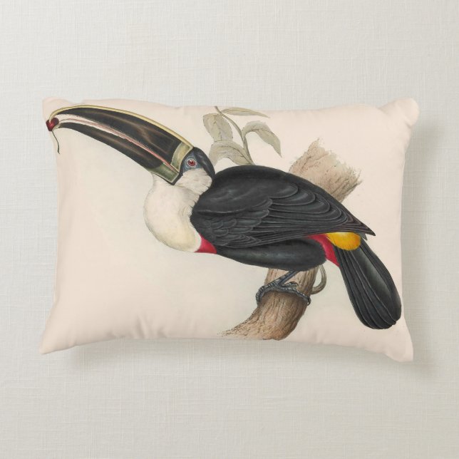 Antique Toucan Bird Wildlife Painting Decorative Cushion (Back)