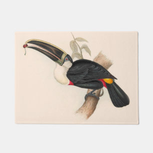 Antique Toucan Bird Wildlife Painting Doormat