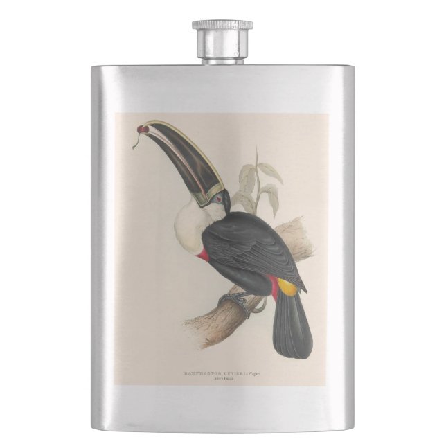 Antique Toucan Bird Wildlife Painting Hip Flask (Front)