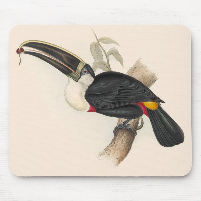 Antique Toucan Bird Wildlife Painting Mouse Pad (Front)