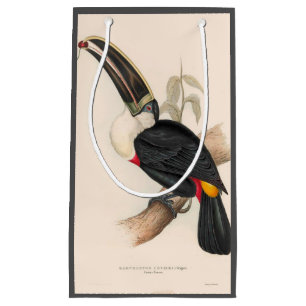 Antique Toucan Bird Wildlife Painting Small Gift Bag