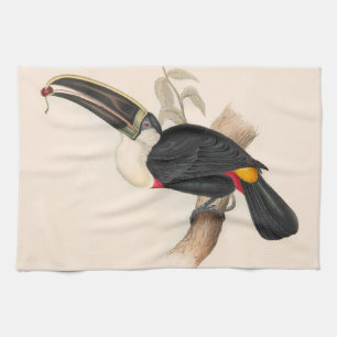 Antique Toucan Bird Wildlife Painting Tea Towel