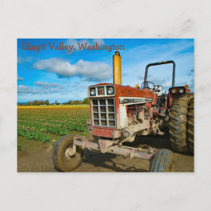 Antique Tractor in the Tulip Fields Postcard
