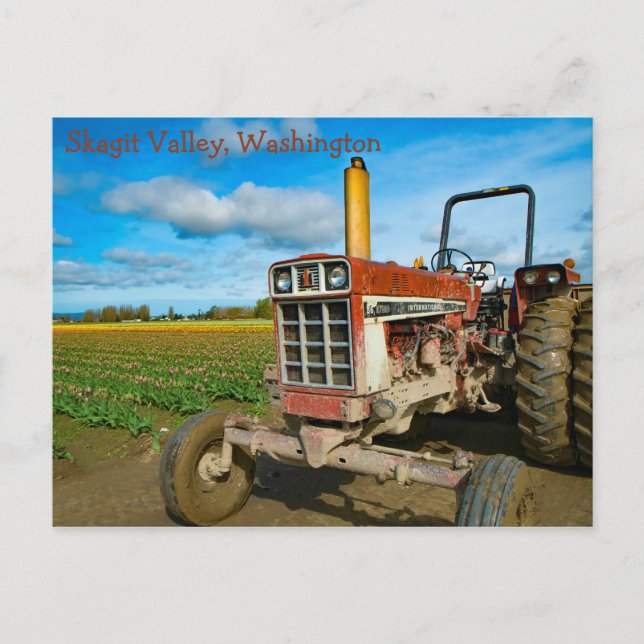 Antique Tractor in the Tulip Fields Postcard (Front)