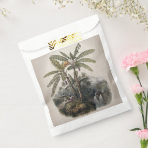 Antique Tropical Banana Tree Forest Vintage Bota Favour Bag