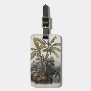 Antique Tropical Banana Tree Forest   Vintage Bota Luggage Tag