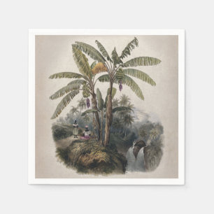 Antique Tropical Banana Tree Forest Vintage Bota Napkin