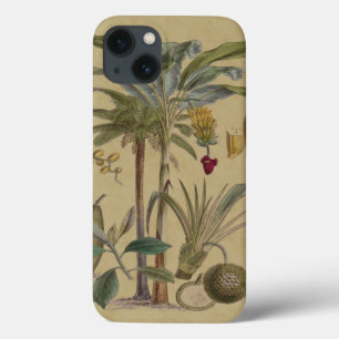 Antique Tropical Palm Fruit Botanical iPhone 13 Case